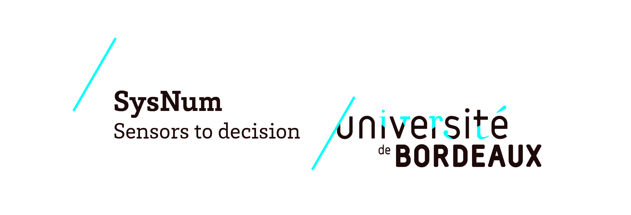Université de Bordeaux, IDEX SYSNUM